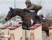 Coata Chika's Way TosTour 2013- S4 6853 : Arezzo Equestrian Centre, Chika's Way, Coata Simone, Toscana Tour 2013, foto di Stefano Secchi ©
